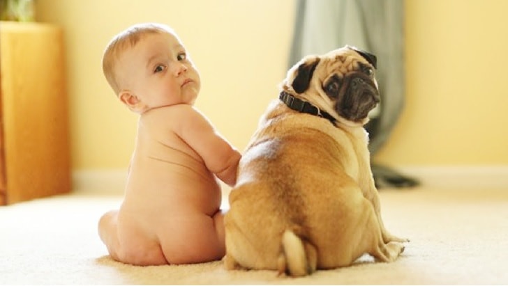 A baby and a Pug Dog sitting together