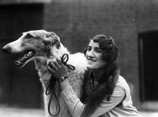 History of Borzoi