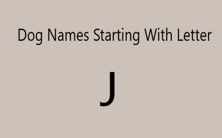 Dogs Name Starting with letter J.