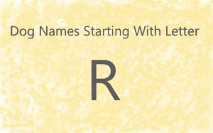 Dog Names Starting With Letter R.