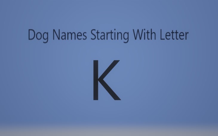 extraordinary-dog-names-starting-with-letter-k-both-male-and-female