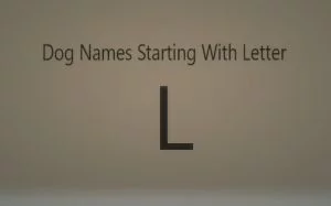 Dog Names Starting With Letter K.