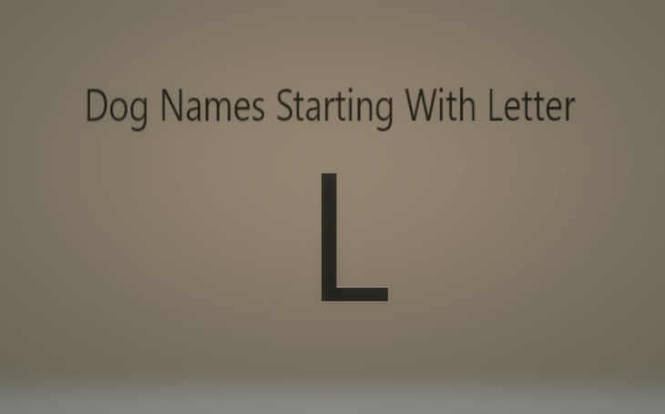 Dog Names Starting With Letter K.