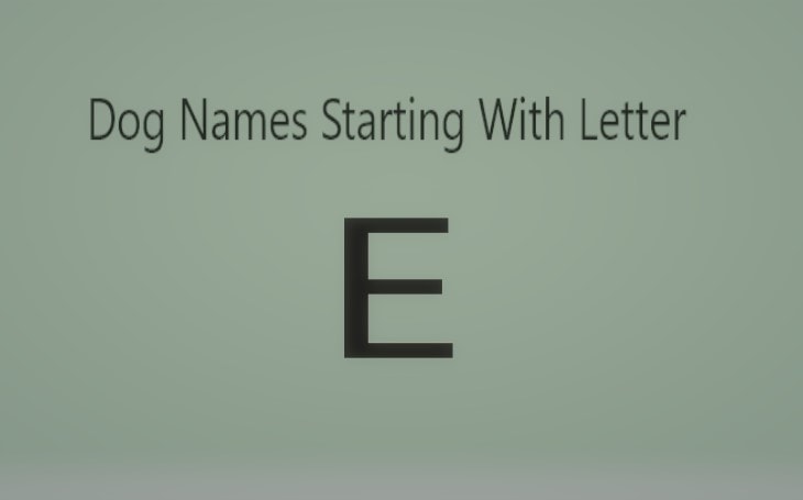 Dog Names that starts with E.