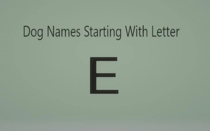 Dog Names that starts with E.