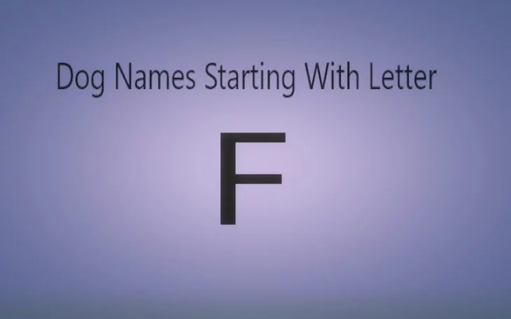 Dog Names that starts with F.