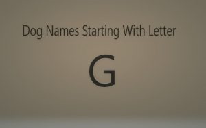 Dog Names that starts with G.