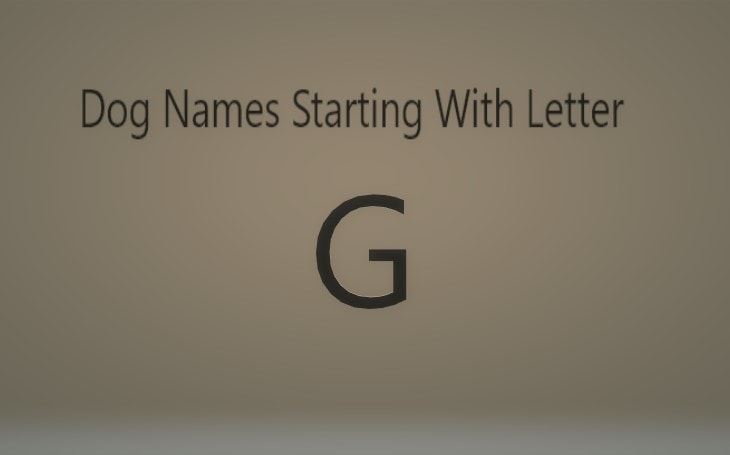 extraordinary-dog-names-starting-with-letter-g-both-male-and-female-dogs