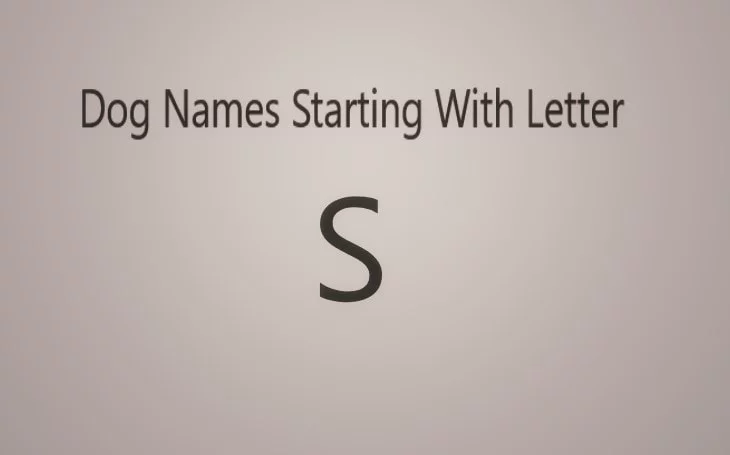 Male and Female Dogs Name Starting With Letter S.