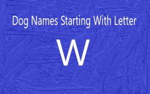 Dog Names starting With Letter W.