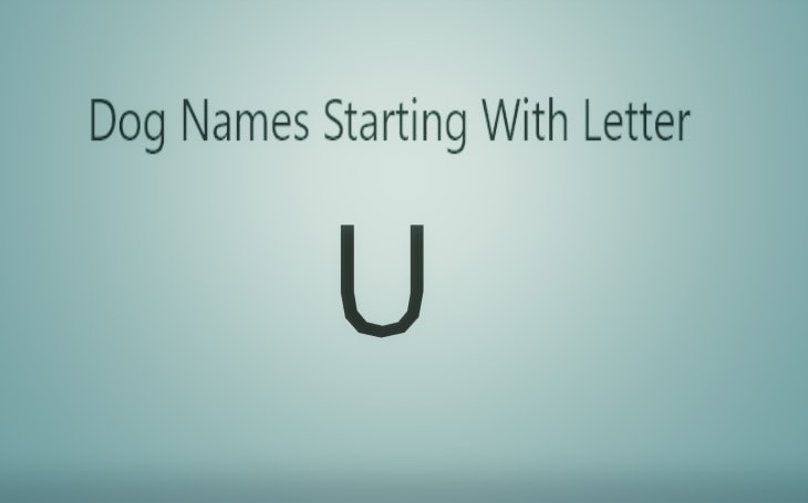 Dog names that starts from letter U.