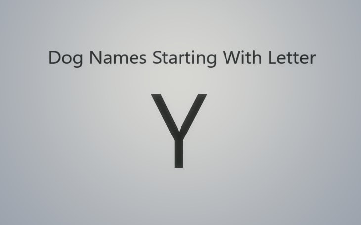 Dog Names starting from Y.