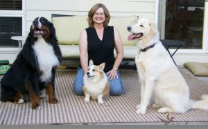 Three dogs with their owner.