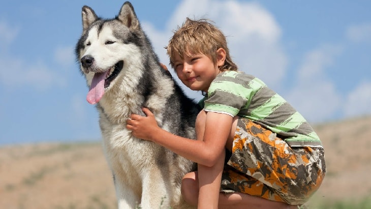 Husky and Kid enjoying. 