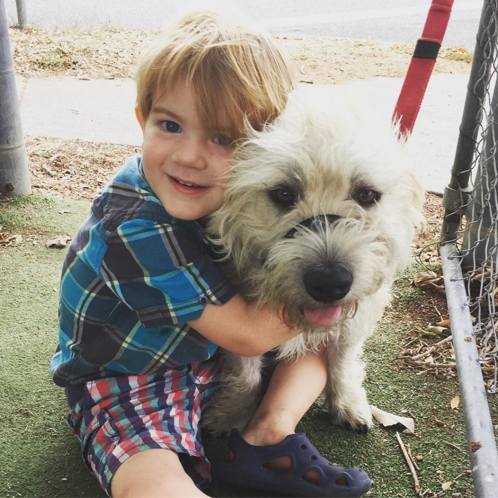 Glen of Imaal Terrier is child friendly