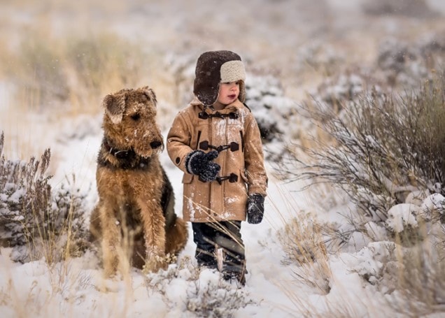 Airedale Terrier Are Friendly With Kids