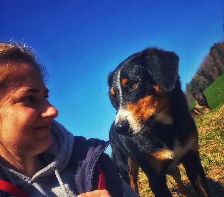 can a appenzeller sennenhund guard a home