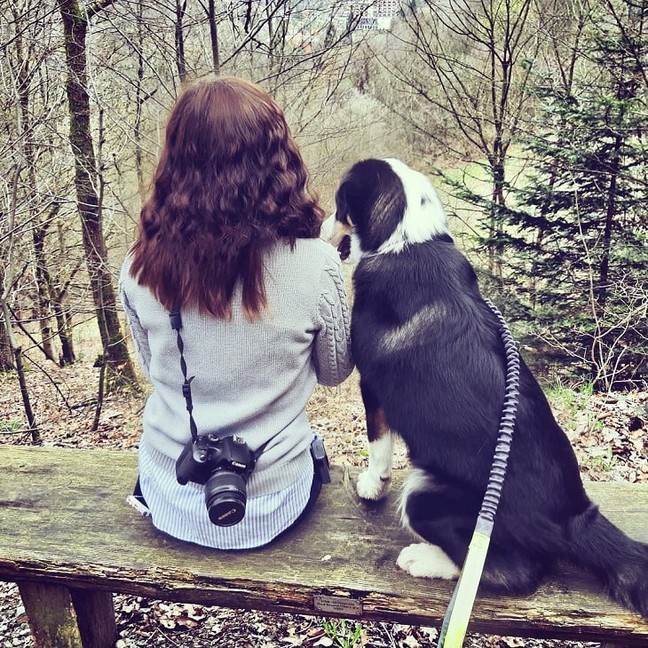 temperament of Appenzeller Sennenhund