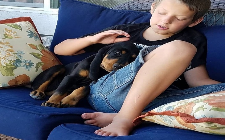 Black and Tan Coonhound Temperament and Personality - Kid ...