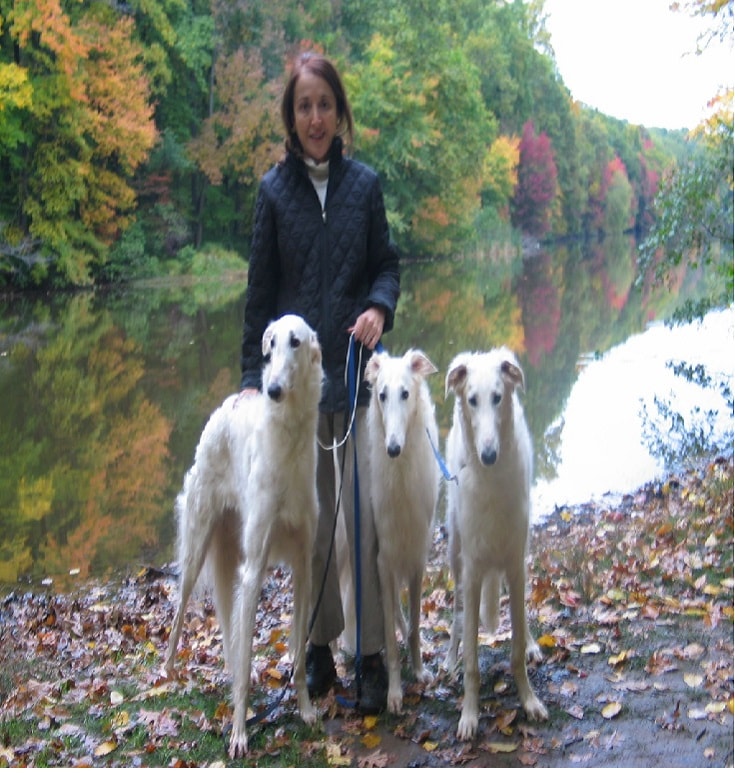 are borzoi aggressive