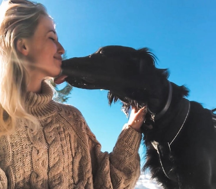 Flat-Coated Retriever Love Their Owner.