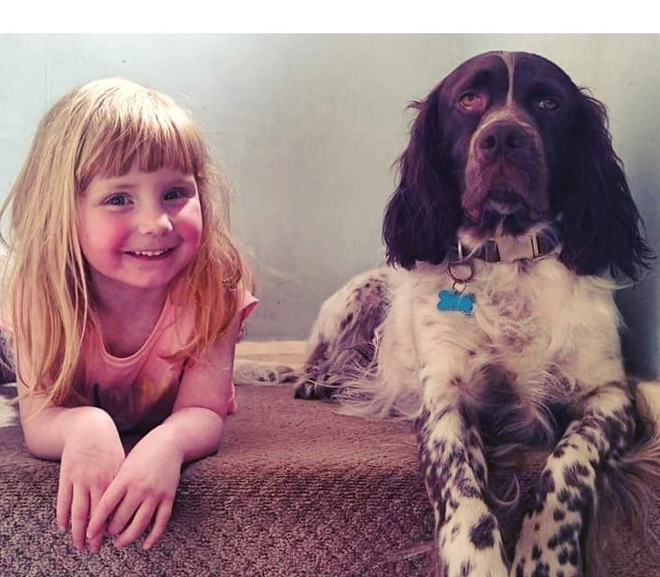 French Spaniel loves children.