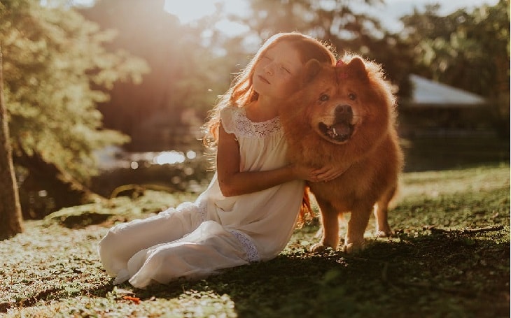 facts of German Spitz dogs