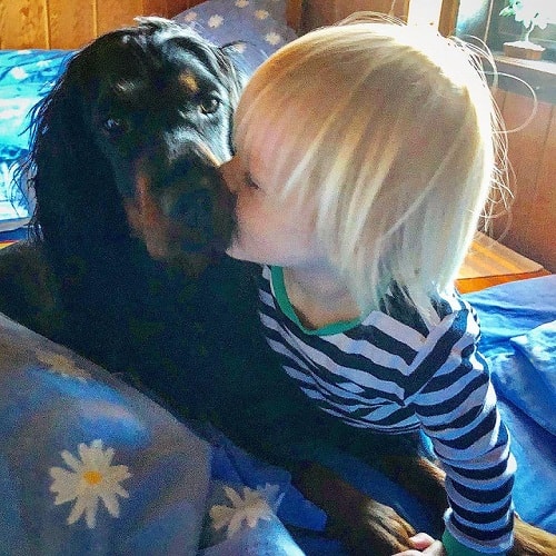 Gorden Setter is child friendly