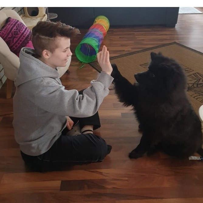 Keeshond and Kid.