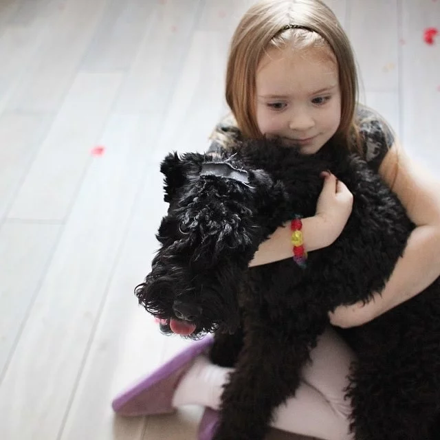 Kerry Blue Terrier Love Children. 