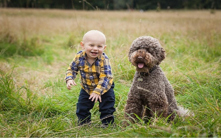 facts of Lagotto Romagnolo