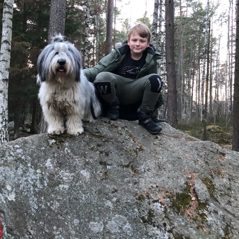 Polish Lowland Sheepdog Friendly With Boy