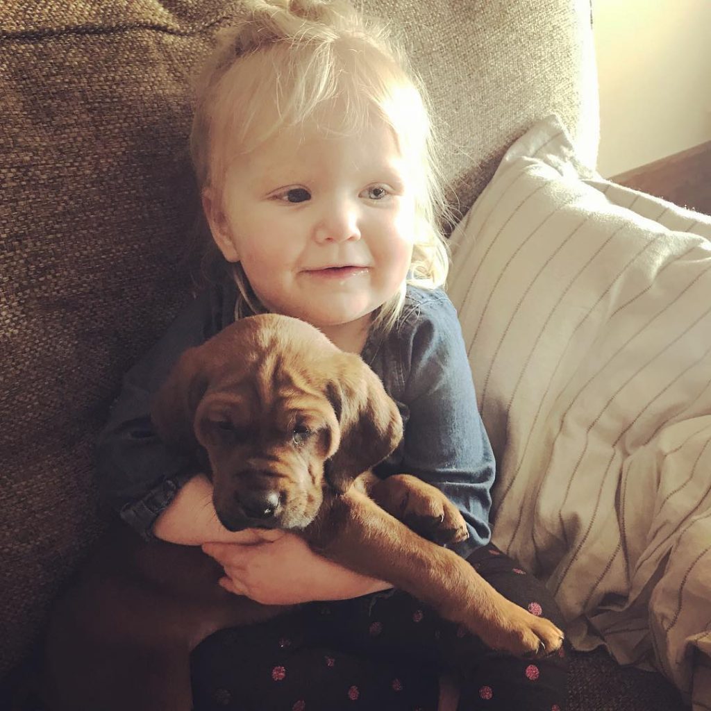 Redbone Coonhound is child friendly