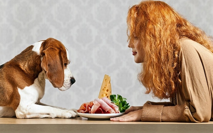 A dog with his owner and ham meat.