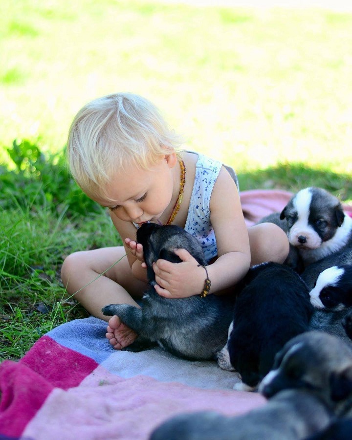 Rafeiro do Alentejo is child friendly