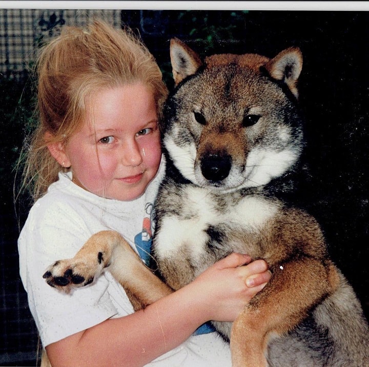 how much should it cost to care for a shikoku