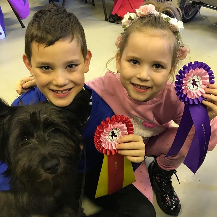 Skye Terrier is child friendly