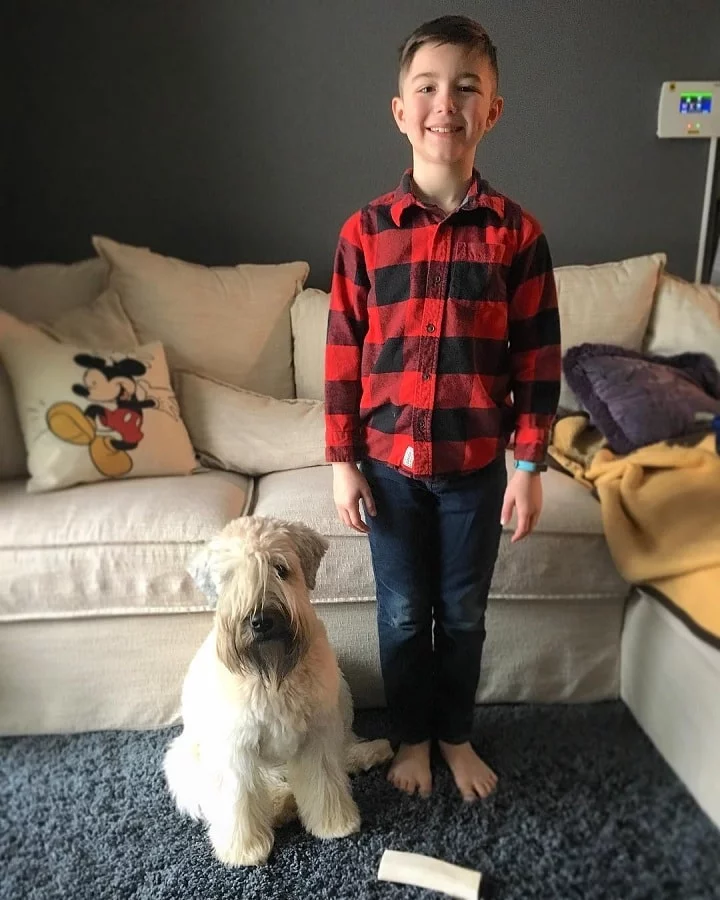 Soft Coated Wheaten Terrier is child friendly