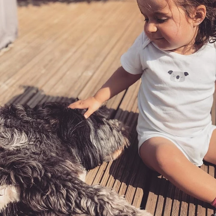 Tibetan Terrier with a baby