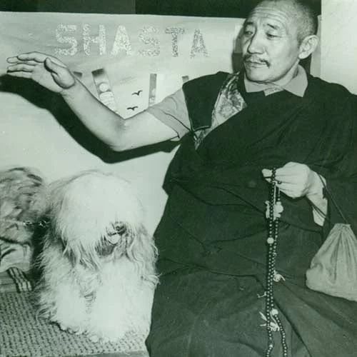 Tibetan Terrier History