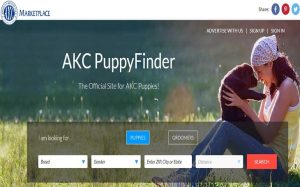 A logo of AKC marketplace