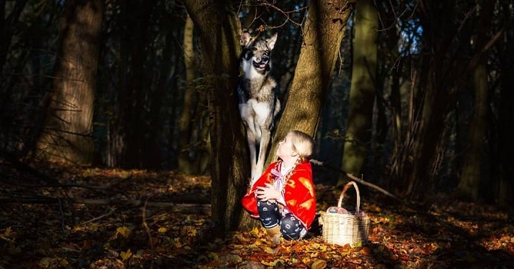 West Siberian Laika is child friendly