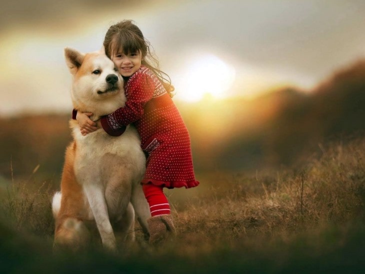 shiba inu and children