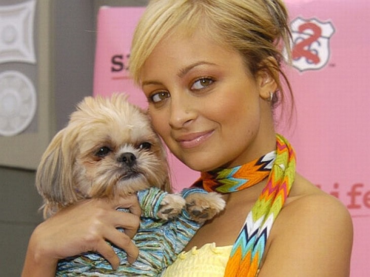 Shih Tzu  With Nicole Richie