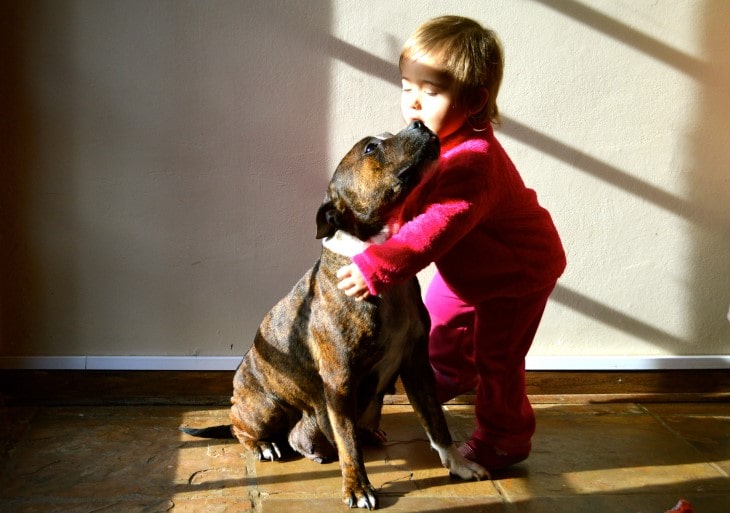 are american staffy good with kids