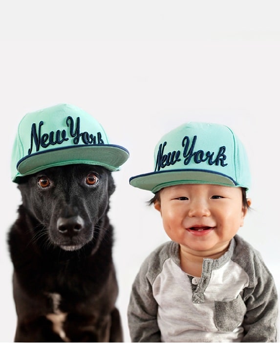 Taiwan Dog posing with a cute baby