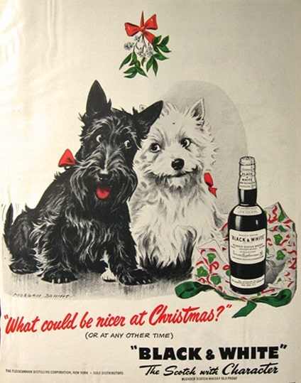 West Highland White Terrier in advertisement of whiskey