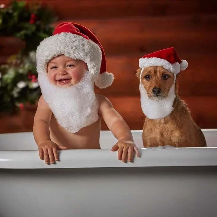 Yorkie pin and a baby as Santa Claus