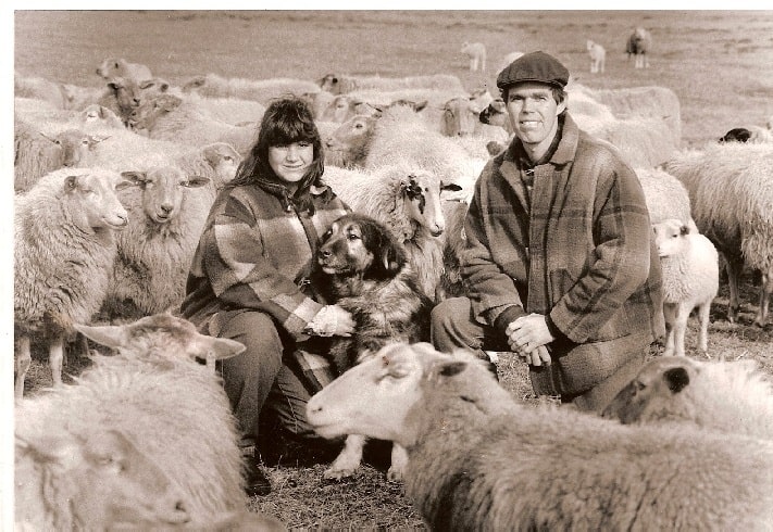 Yugoslavian Shepherd herding sheep with its people