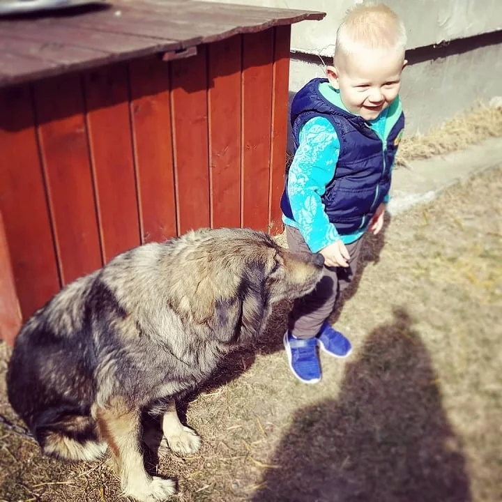 A Baby Boy With Yugoslavian Shepherd